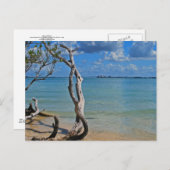 Debris to Blind Pass Postkarte (Vorne/Hinten)