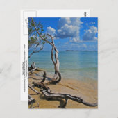 Debris to Blind Pass Postkarte (Vorne/Hinten)