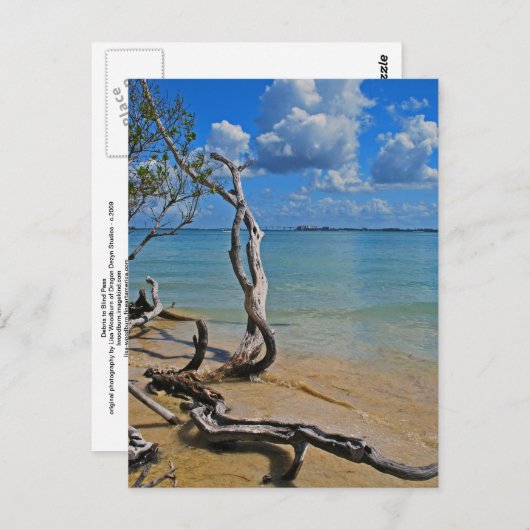 Debris to Blind Pass Postkarte (Vorne/Hinten)