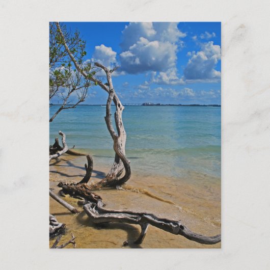 Debris to Blind Pass Postkarte (Vorderseite)