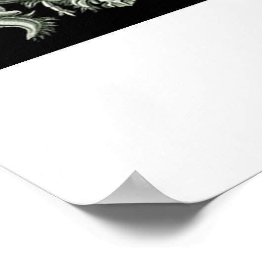 Decapoda, Krustentiere, Illustrationsbriefe Poster (Ecke)