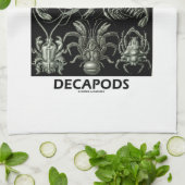 Decapods Ernst Haeckel Artforms der Natur Handtuch (Gefaltet)