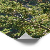 Deception Pass Bridge Poster (Ecke)