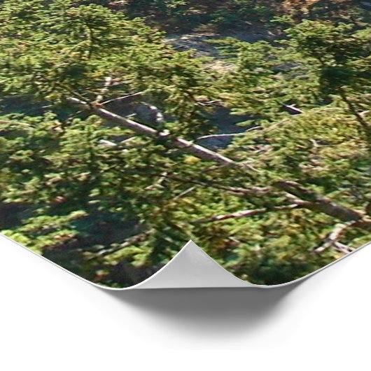 Deception Pass Bridge Poster (Ecke)