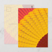 Deckchen, Fächer Postkarte (Vorne/Hinten)