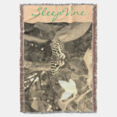 Decke (Vorderseite Vertikal)