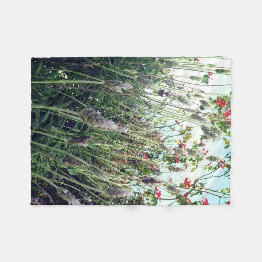 Decke (Vorderseite (Horizontal))