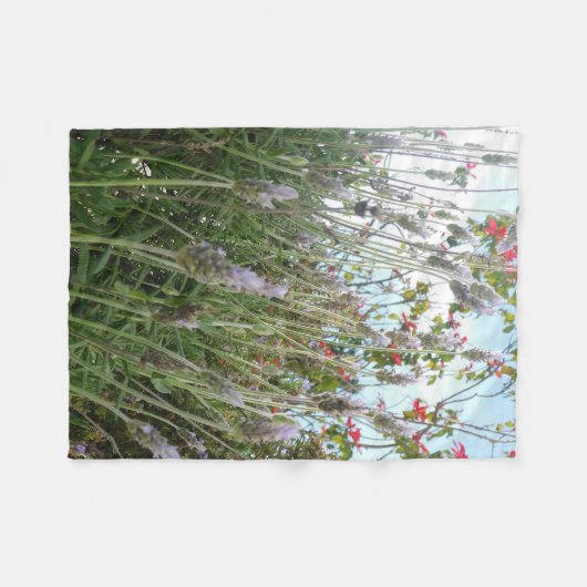 Decke (Vorderseite (Horizontal))