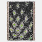 Decke (Vorderseite Vertikal)