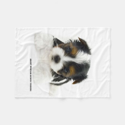 Decke - Biewer Terrier Welpe (Vorderseite (Horizontal))