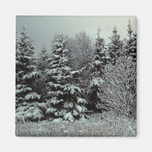 Decke des Schnee-Magneten Magnet