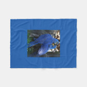 Decke _ Papageien (Vorderseite (Horizontal))