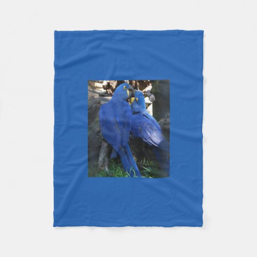 Decke _ Papageien (Vorderseite)