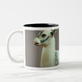 Deckel eines Unguentglases in Form eines Zweifarbige Tasse (Links)