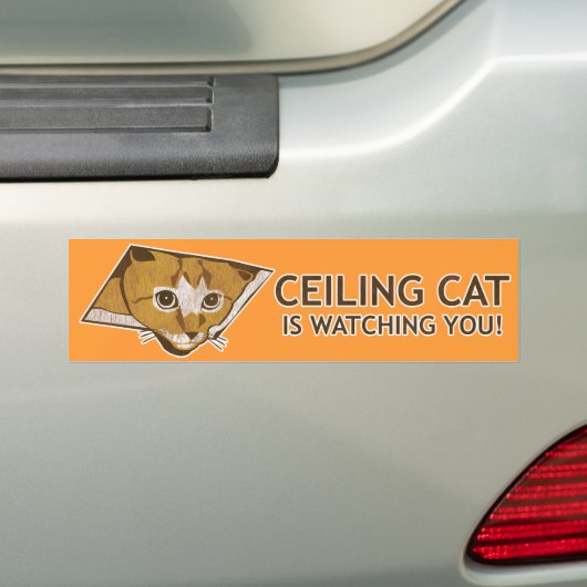 Decken-Katze passt Sie auf! Autoaufkleber (Auf Auto)