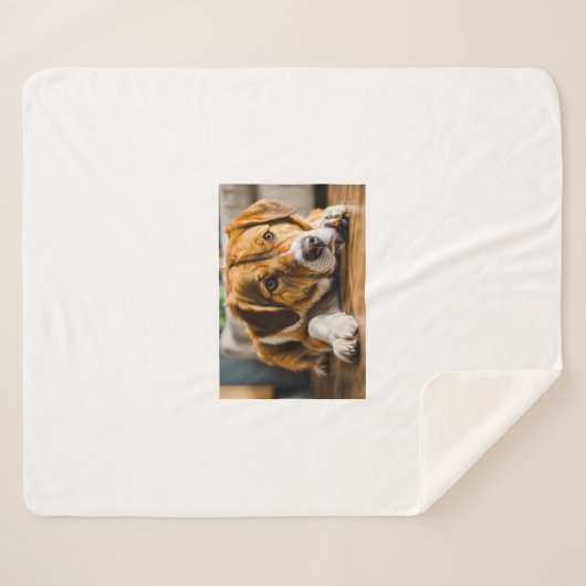 Decken mit Hund (Vorderseite (Horizontal))