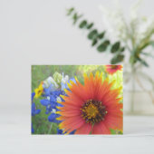 Decken und Bonnets Postkarte (Stehend Vorderseite)