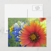 Decken und Bonnets Postkarte (Vorne/Hinten)