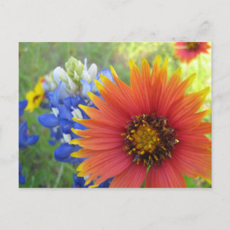 Decken und Bonnets Postkarte