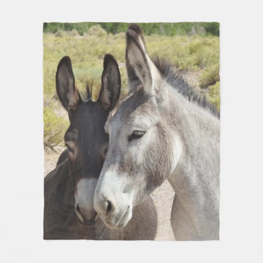Decken, wilde Burros, Natur, Tiere Fleecedecke (Vorderseite)