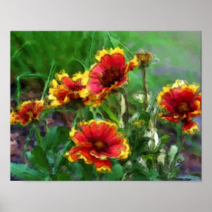 Deckenblumen-Margeriten Aquarell Poster