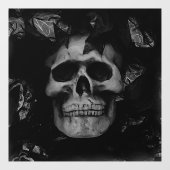 Deckenfensterklammer Fensteraufkleber (Blatt)