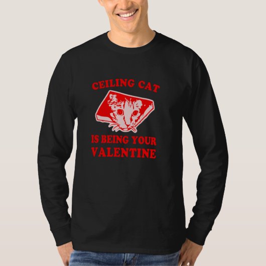 Deckenkatze ist Ihr Valentiner Funny T-Shirt (Vorderseite)