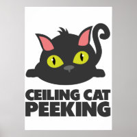 Deckenkatze-Lustige-Internet-Meme-Kunst