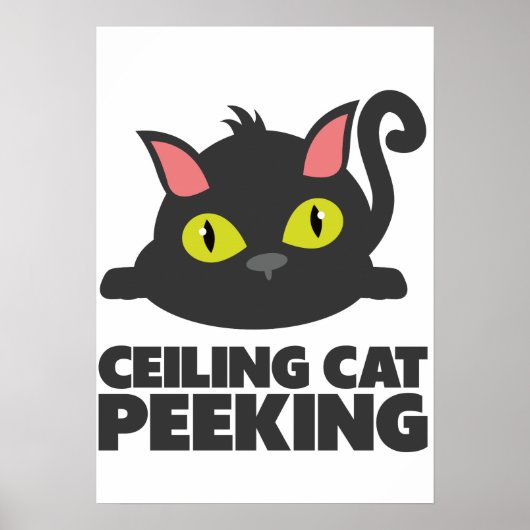 Deckenkatze-Lustige-Internet-Meme-Kunst Poster (Vorne)