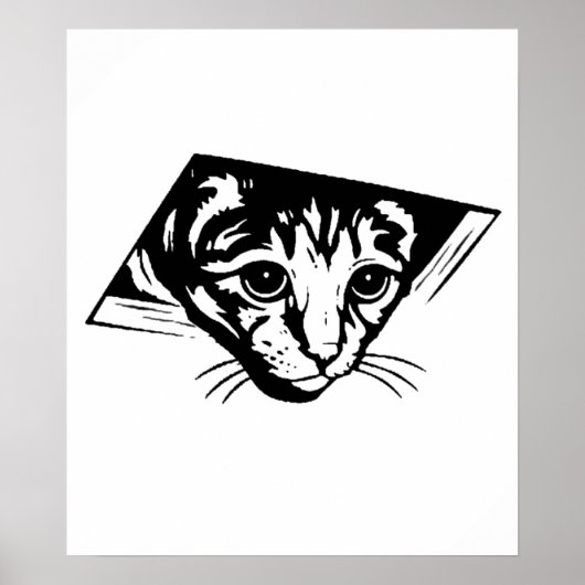 Deckenkatze Poster (Vorne)