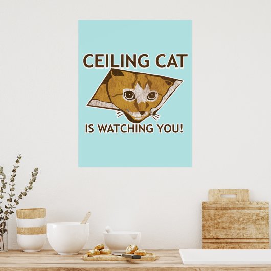 Deckenkatzenplakat Poster (Küche)