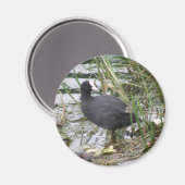 Deckmantel auf dem Riverbank Magnet (Vorderseite/Rückseite)