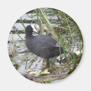 Deckmantel auf dem Riverbank Magnet