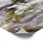 Deckmantel auf dem Riverbank-Poster Poster (Ecke)
