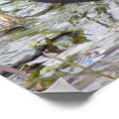Deckmantel auf dem Riverbank-Poster Poster (Ecke)