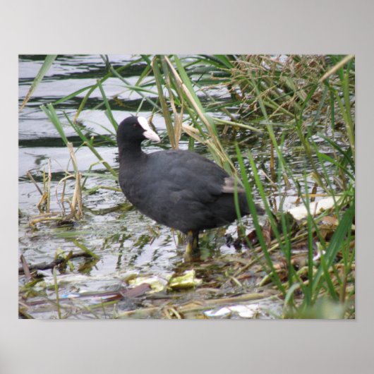 Deckmantel auf dem Riverbank-Poster Poster (Vorne)