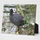 Deckmantel auf der Riverbank-Ebene Fotoplatte (Seite)