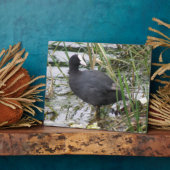 Deckmantel auf der Riverbank-Ebene Fotoplatte (Seite)