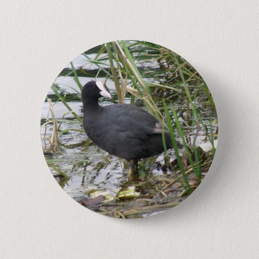 Deckmantel auf der Riverbank-Taste Button (Vorderseite)