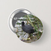 Deckmantel auf der Riverbank-Taste Button (Vorne & Hinten)