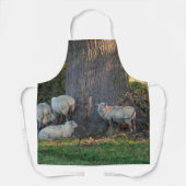 Deckschaf Schürze (Vorderseite)