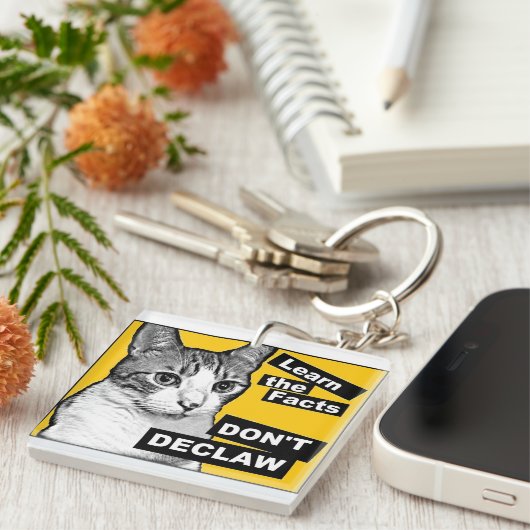 Declaw nicht schlüsselanhänger (Vorderseite rechts)