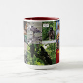 Decorah Eagles 2020 Tasse (Zentrum)