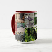 Decorah Eagles 2020 Tasse (Vorderseite Links)