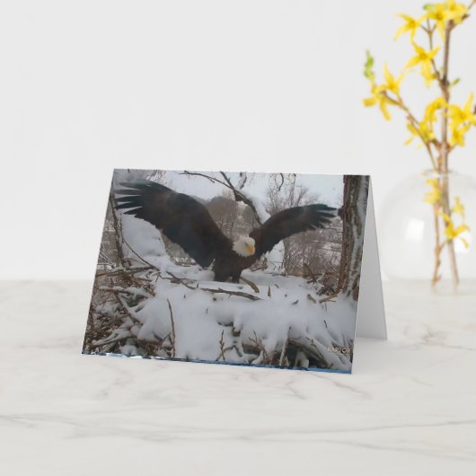 Decorah Eagles Weihnachtskarten Karte (Gelbe Blume)