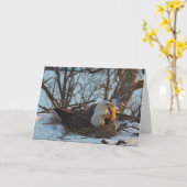 Decorah Nest Nord Weihnachtskarte Karte (Gelbe Blume)