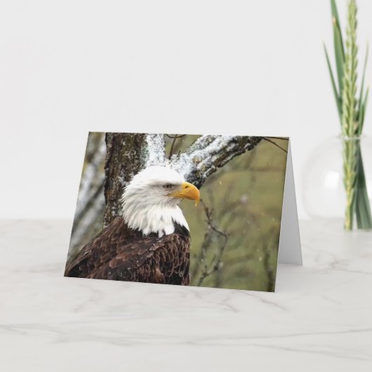 Decorah North Eagles: Der Bibermond Karte (Vorderseite)