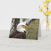 Decorah North Eagles: Der Bibermond Karte (Gelbe Blume)