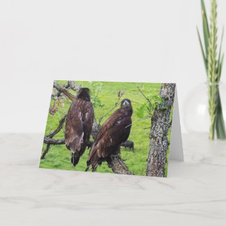 Decorah North Eagles: Der Erdbeermond Karte