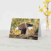 Decorah North Eagles: Der Erntemond Karte (Gelbe Blume)